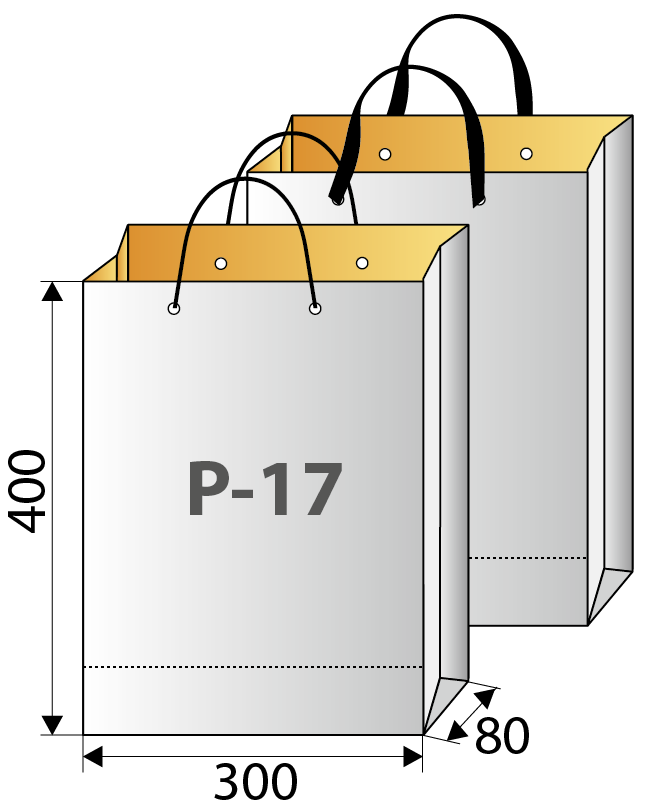 Схема пакета А3 с размерами в мм