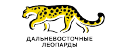 Дальневосточные леопарды