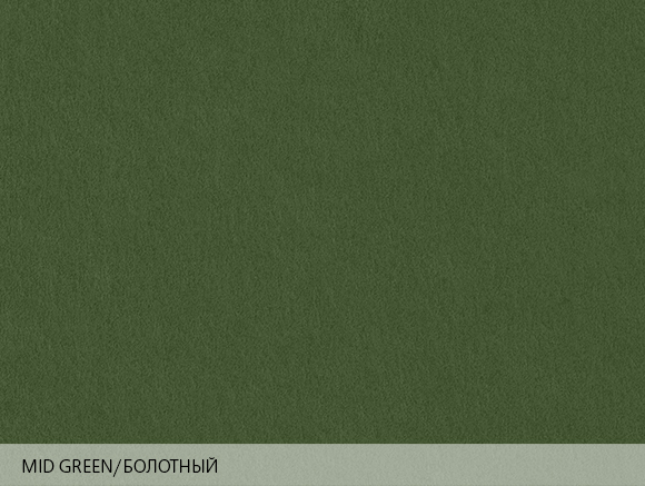 Colorplan Mid Green / Болотный