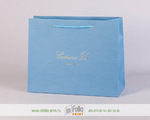 https://www.infolio-print.ru/images/products_gallery_images/P-5_bag_with_blue_shamping_thumb.jpg