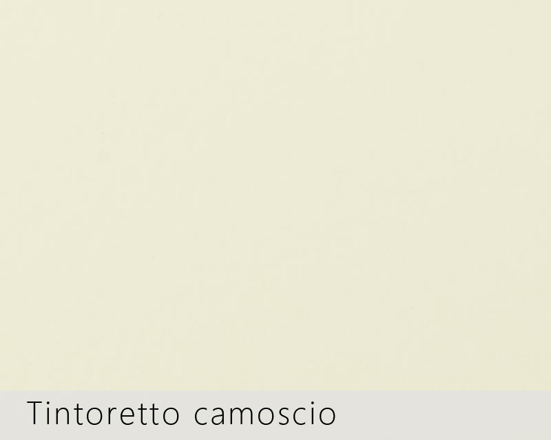 Tintoretto camoscio замша