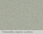 Tintoretto ceylon cumino тмин